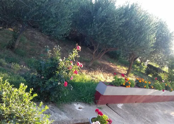 Apartman Luca Ražanac