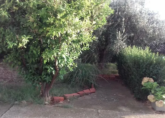 Luca Apartman Ražanac