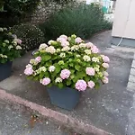Luca Apartamento Ražanac