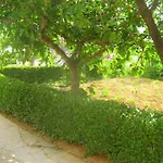 Apartamento Luca