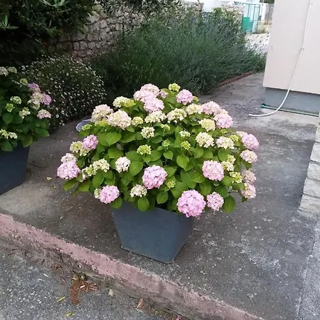 Luca Apartamento Ražanac