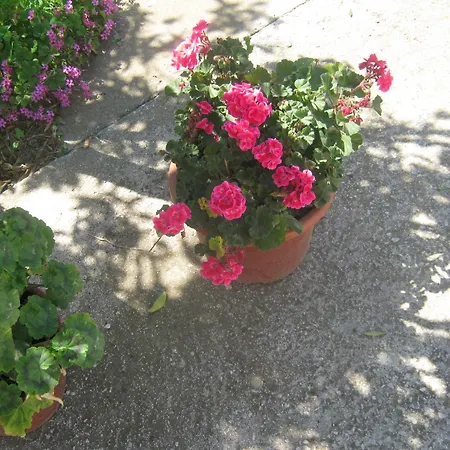 Apartamento Luca